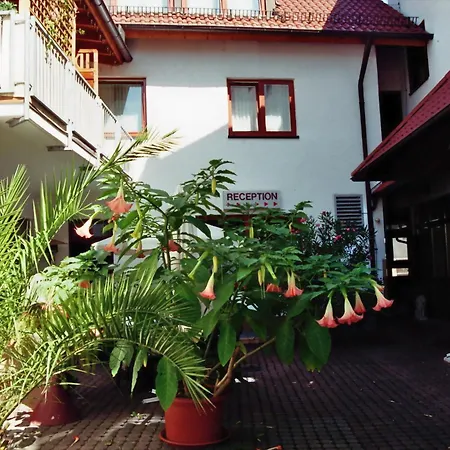 Hotel Zum Löwen-2